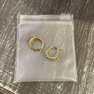 Adina Eden hoop earrings